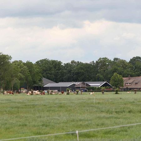 Hofstay195 Achterveld Kültér fotó